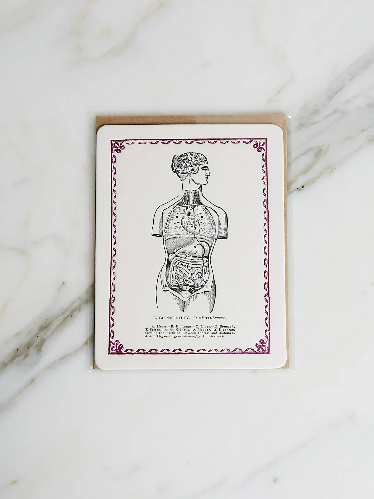Beauty Card