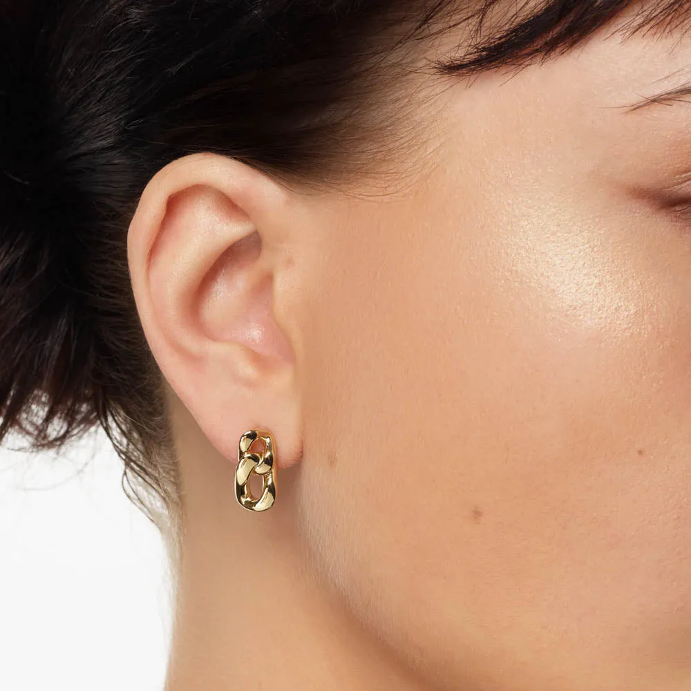 Curb Chain Link Stud Earrings in Gold
