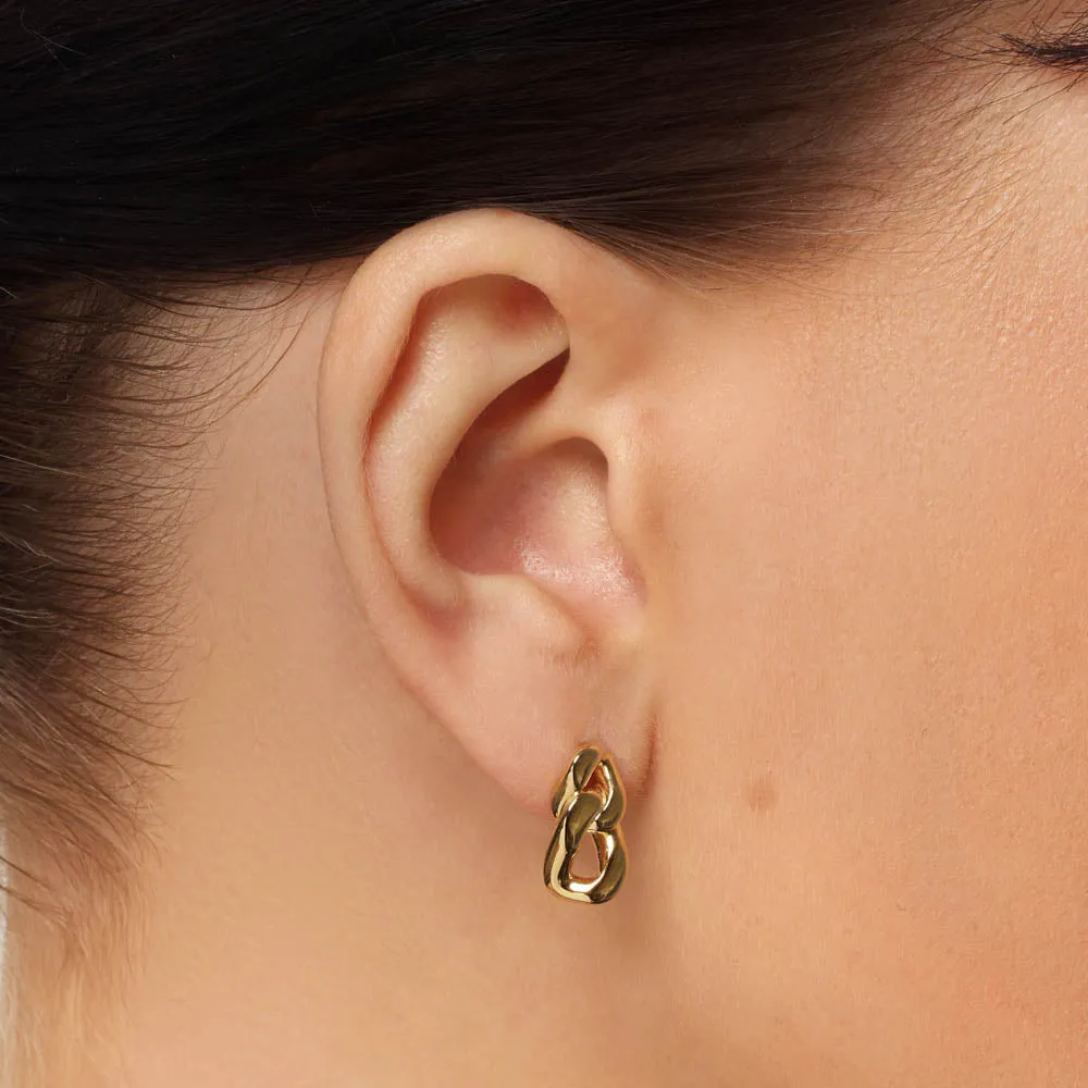 Curb Chain Link Stud Earrings in Gold