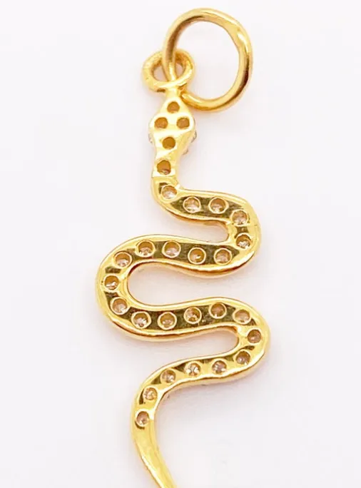 Diamond Snake Charm