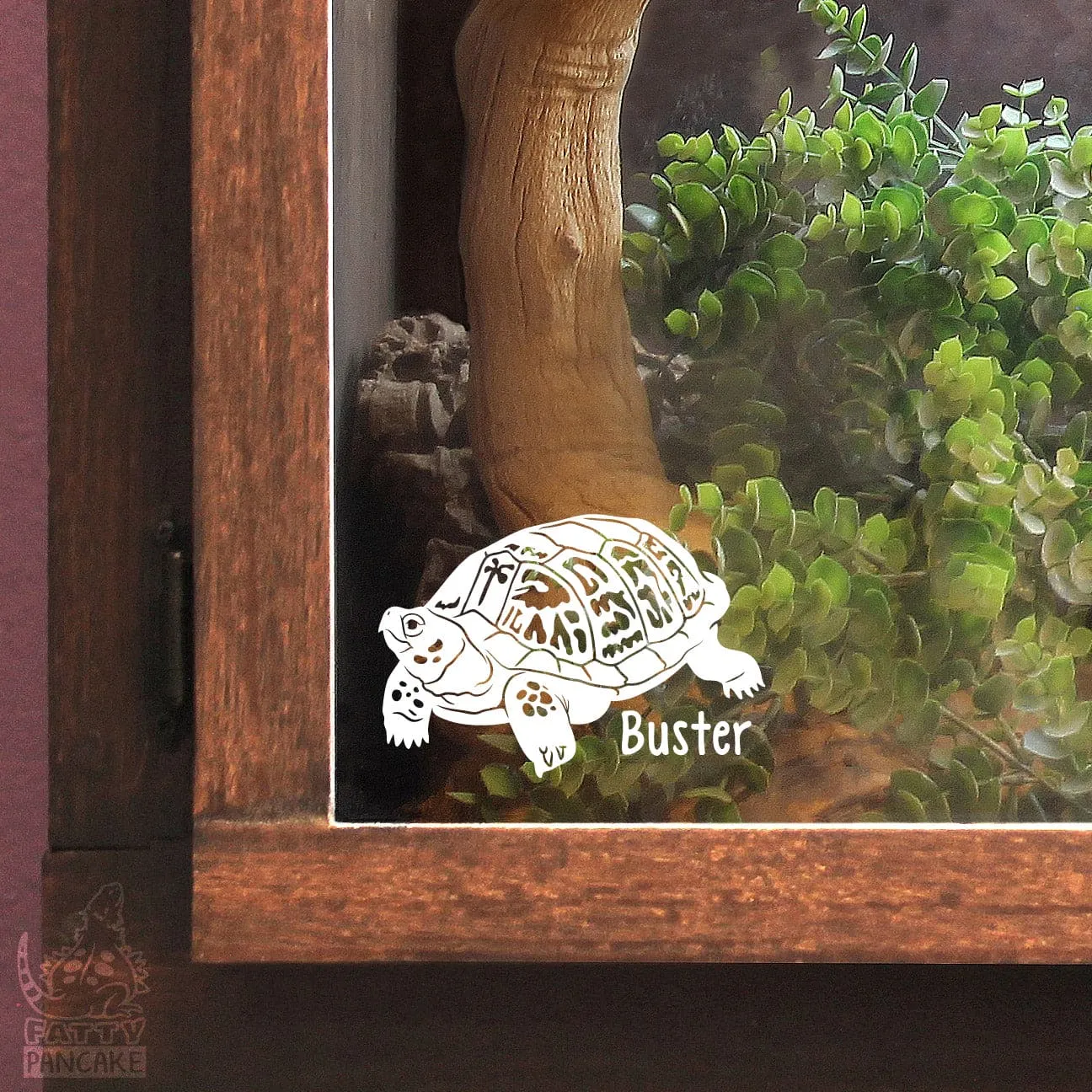 Eastern Box Turtle Decal, Waterproof Vinyl Decal, Cute Reptile Gift