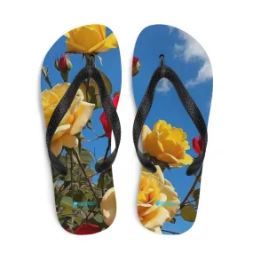 Flip-Flops
