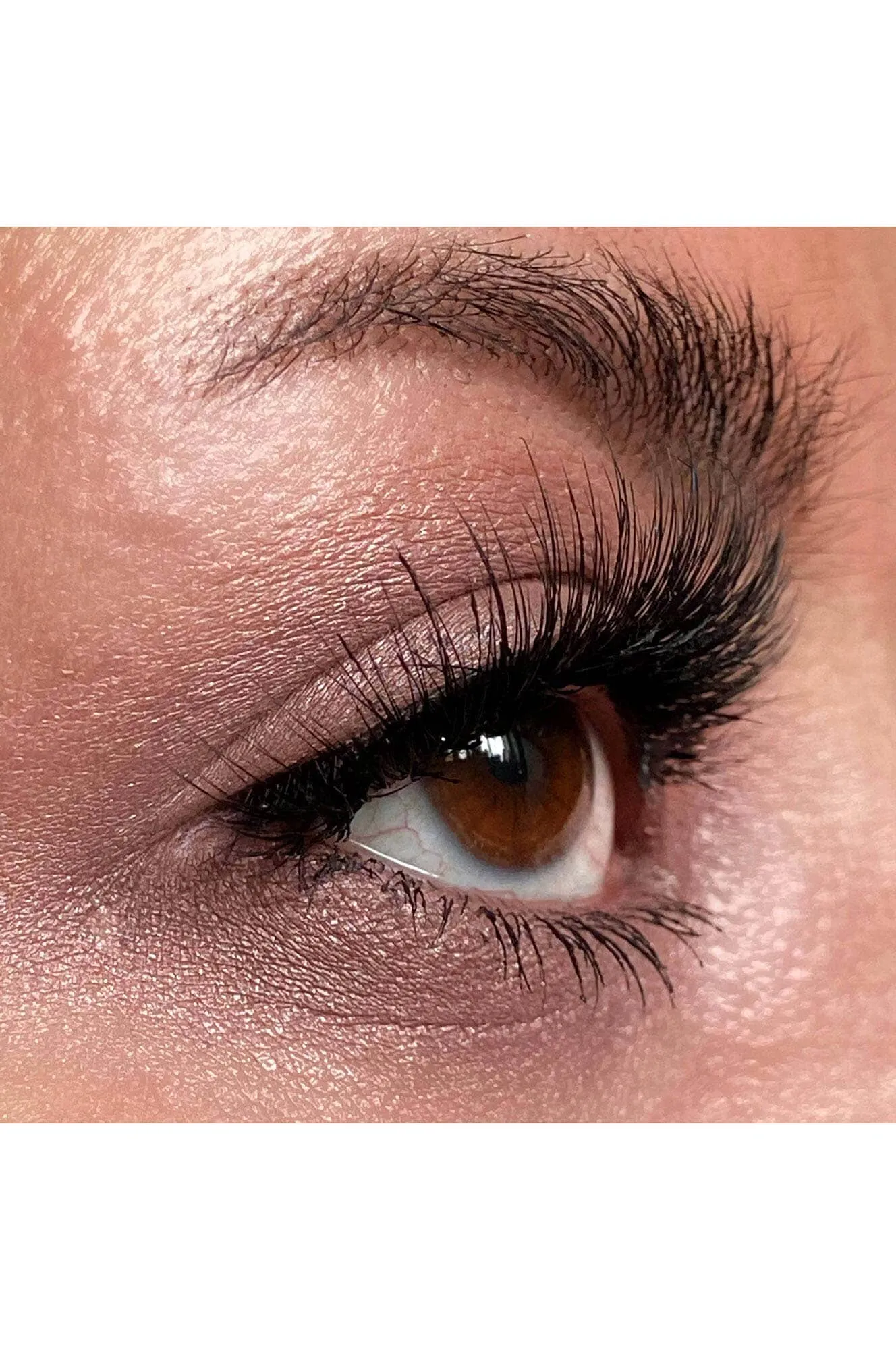 Force Field Eyeshadow