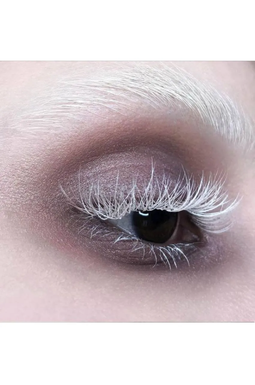 Force Field Eyeshadow