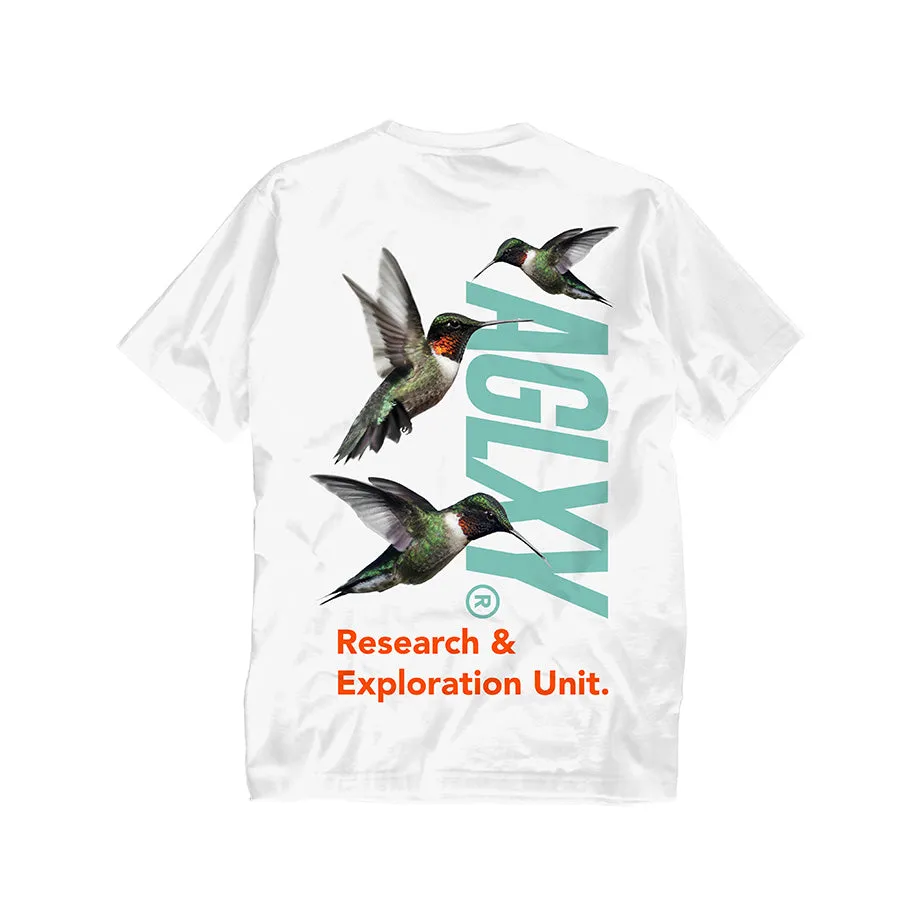 Hummingbird 018 - White