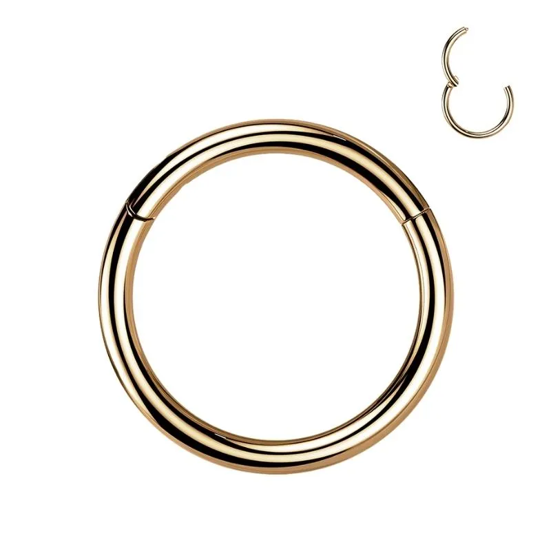 Single Hinged Titanium Segment Hypoallergenic Ring