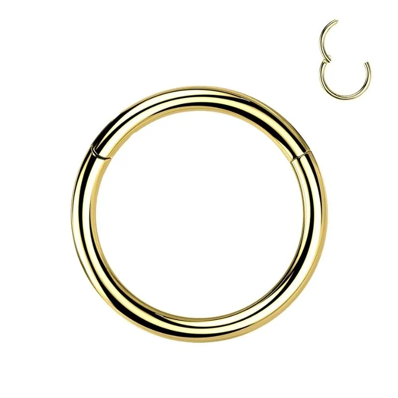 Single Hinged Titanium Segment Hypoallergenic Ring